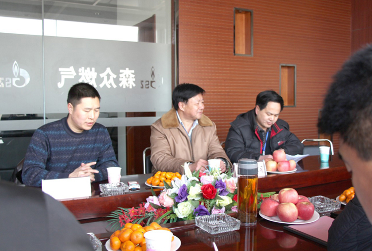 林口县政府与深圳石俊企业数字营销有限公司燃气项目洽谈.png
